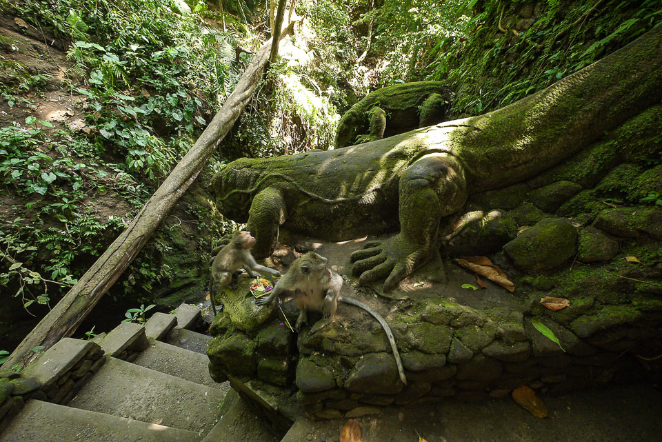 Священный лес обезьян в Убуде