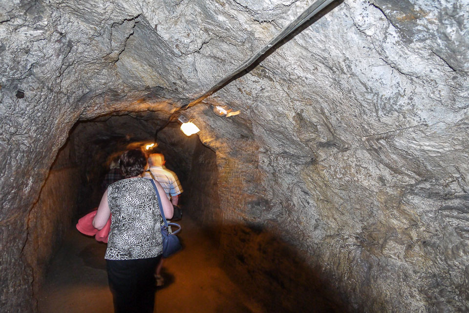 Экскурсия в Венский лес