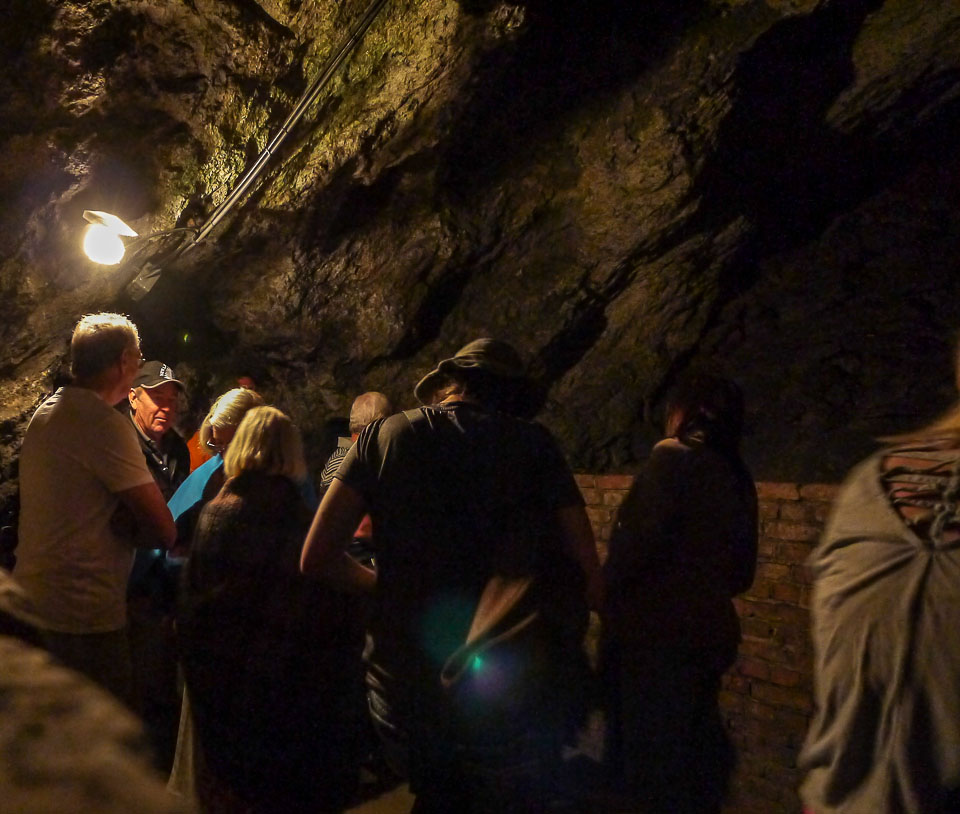 Экскурсия в Венский лес