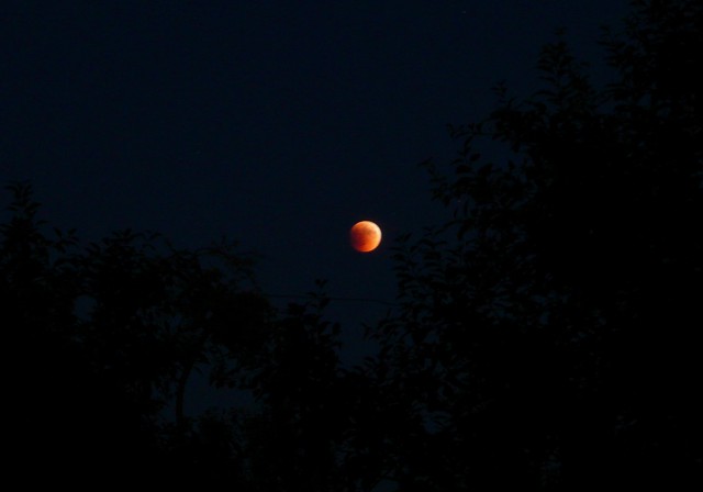 moon