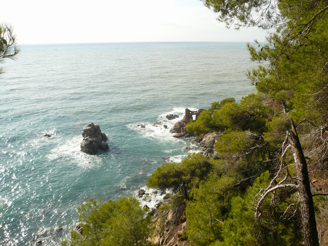 Скалы, море