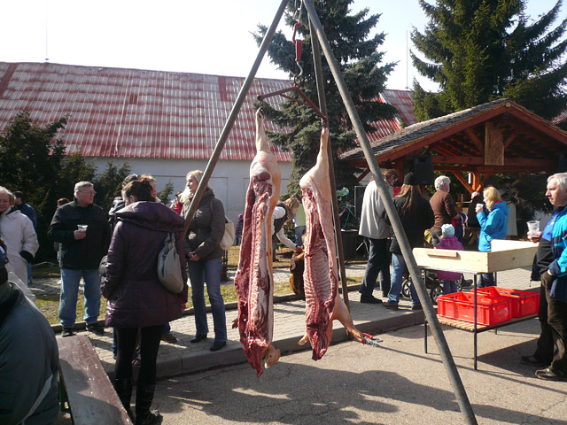 Завод Велкопоповицкий Козел, Экскурсия