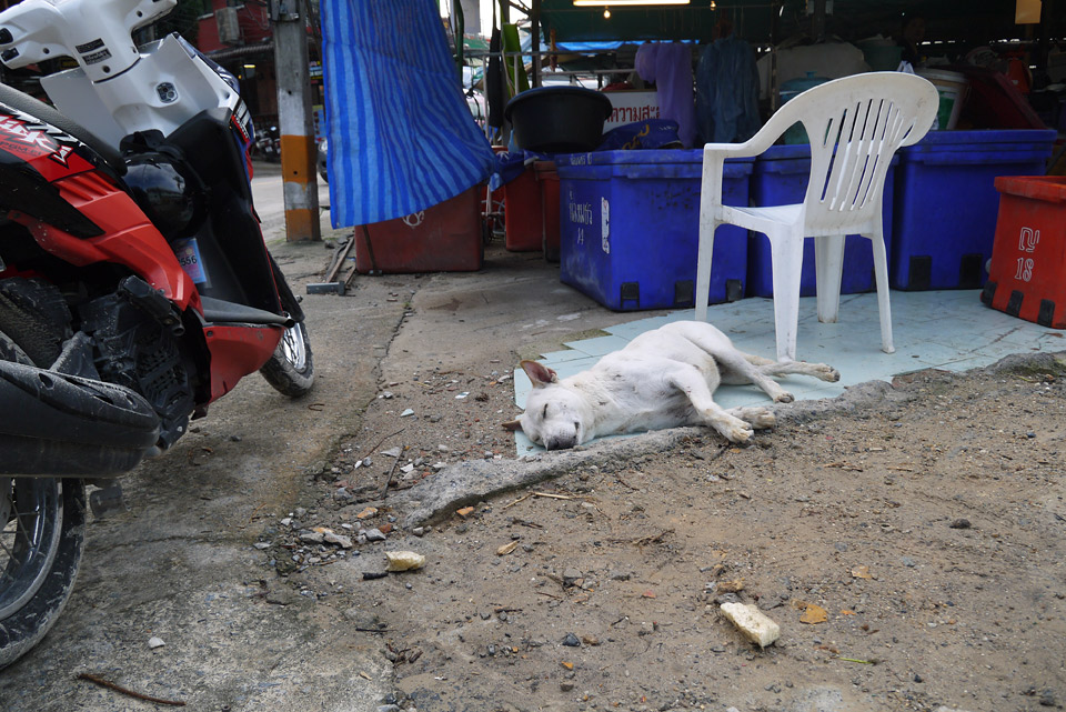 Patong Market
