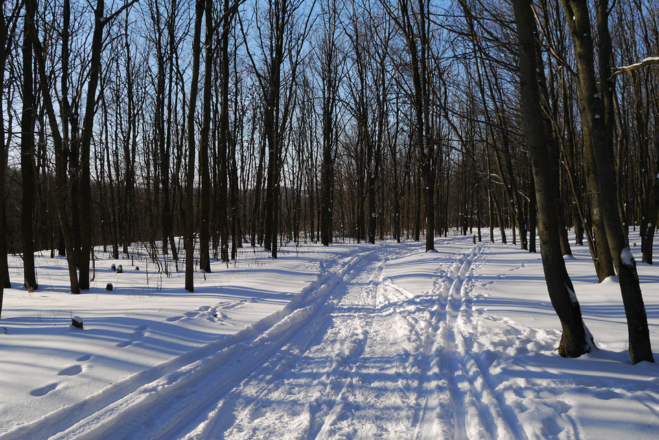 Горка для катания в Курске. ГСК-53