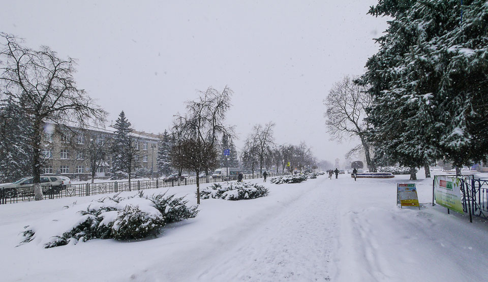 Курск Зимой