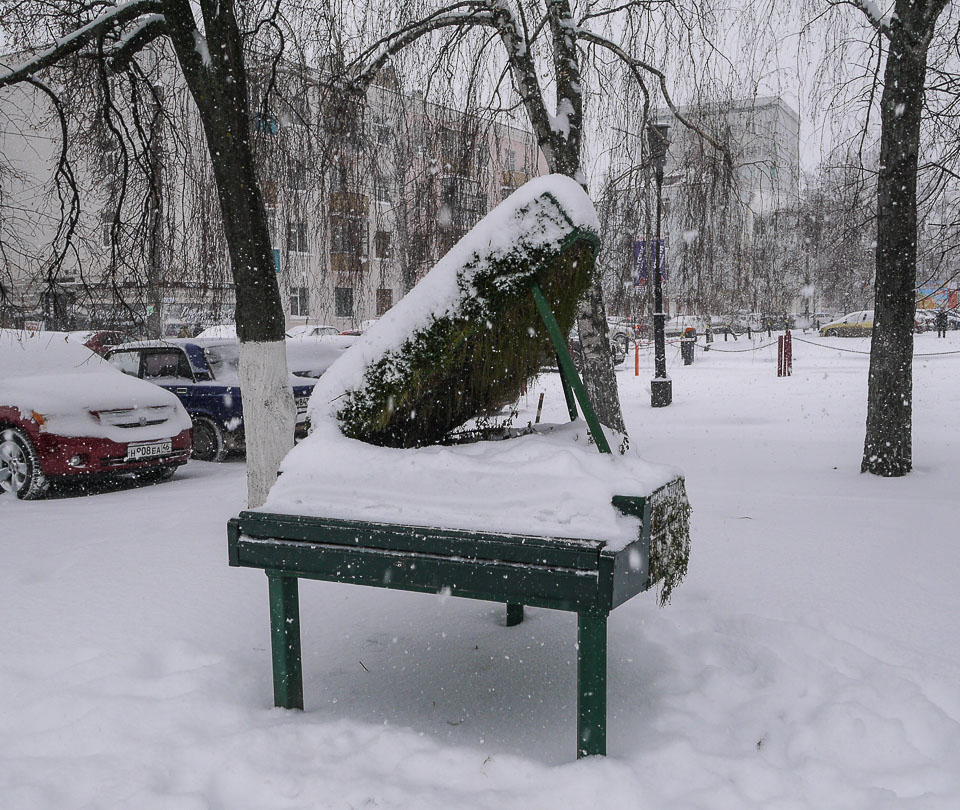 Курск Зимой