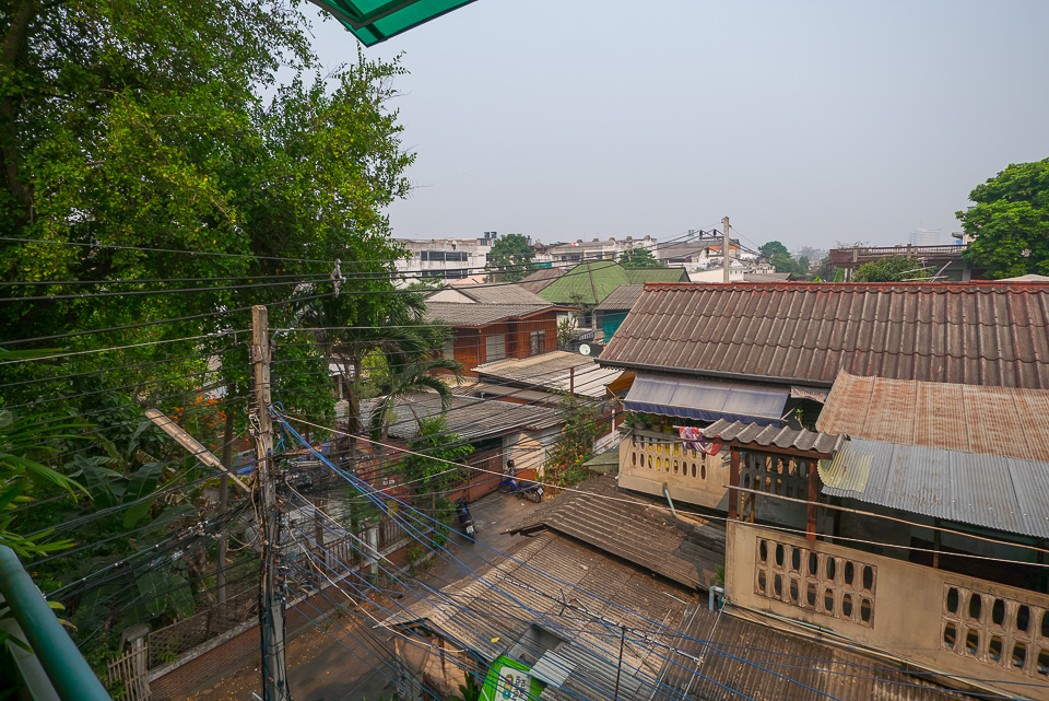 Junior House