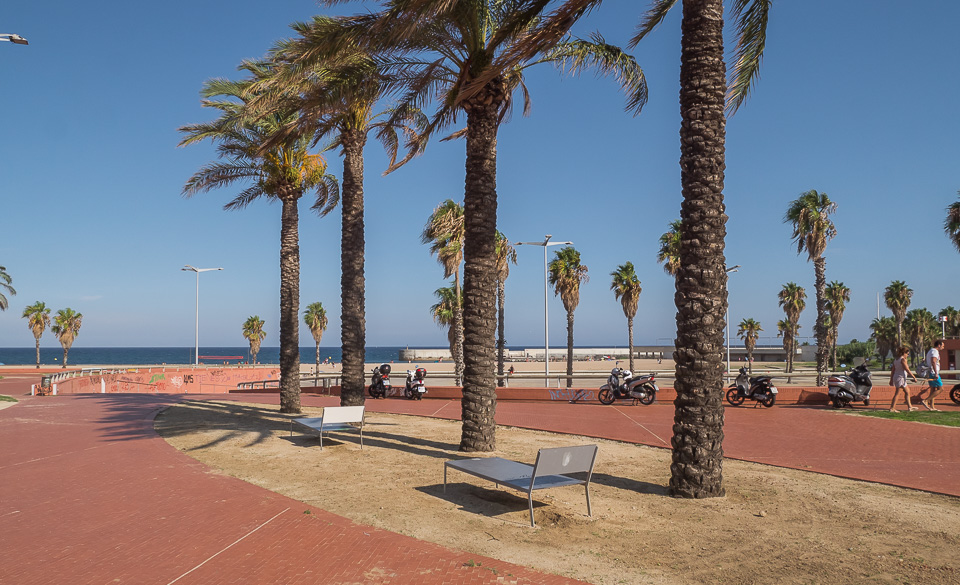 10_del-forum_10