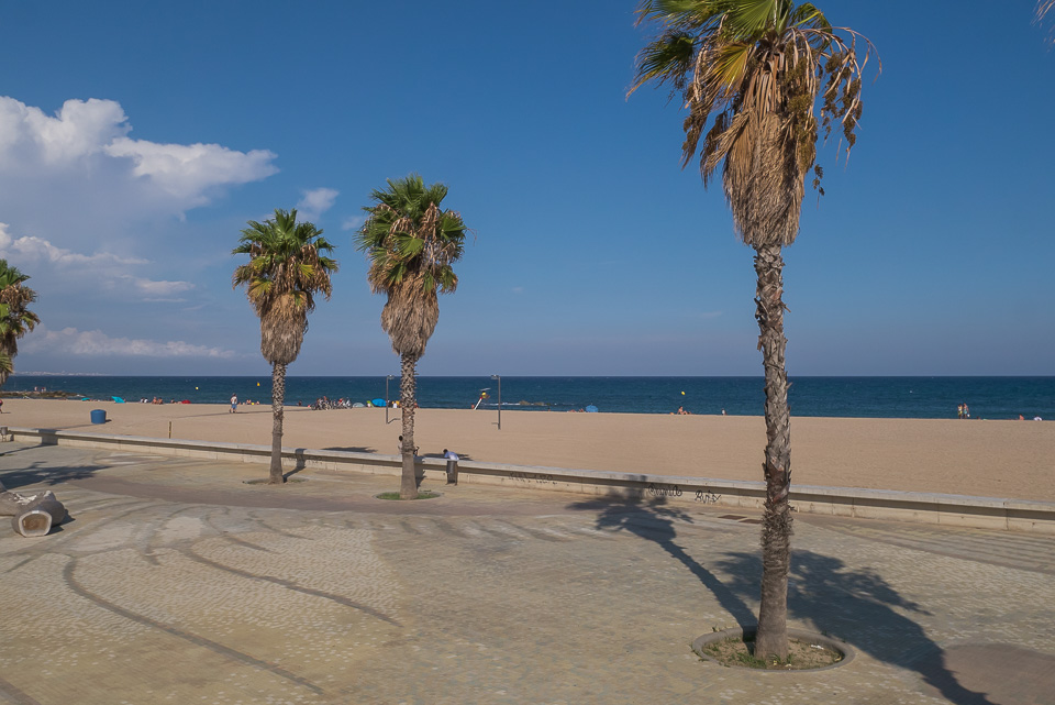 10_del-forum_12