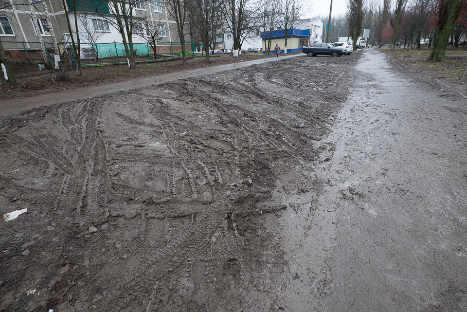 Куряне должны страдать
