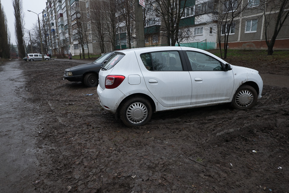 Куряне должны страдать
