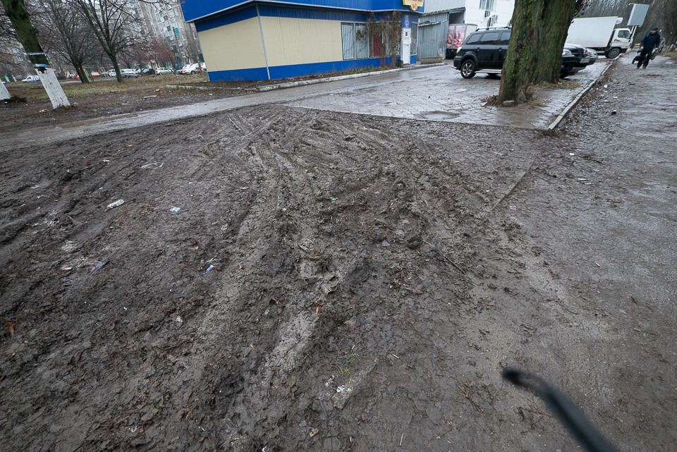 Куряне должны страдать
