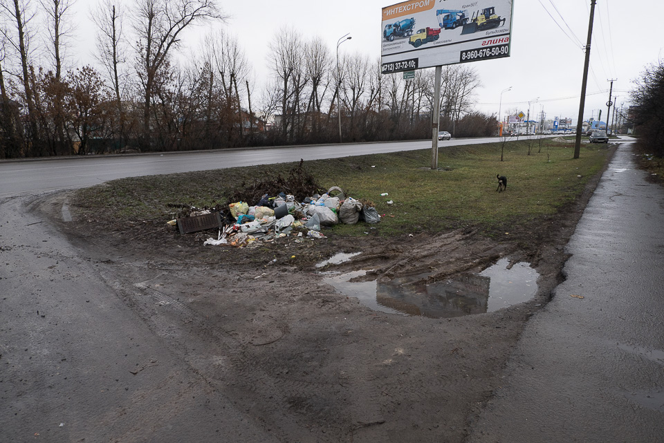 Куряне должны страдать
