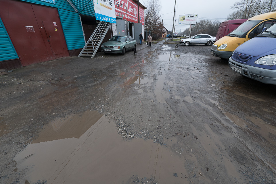 Куряне должны страдать