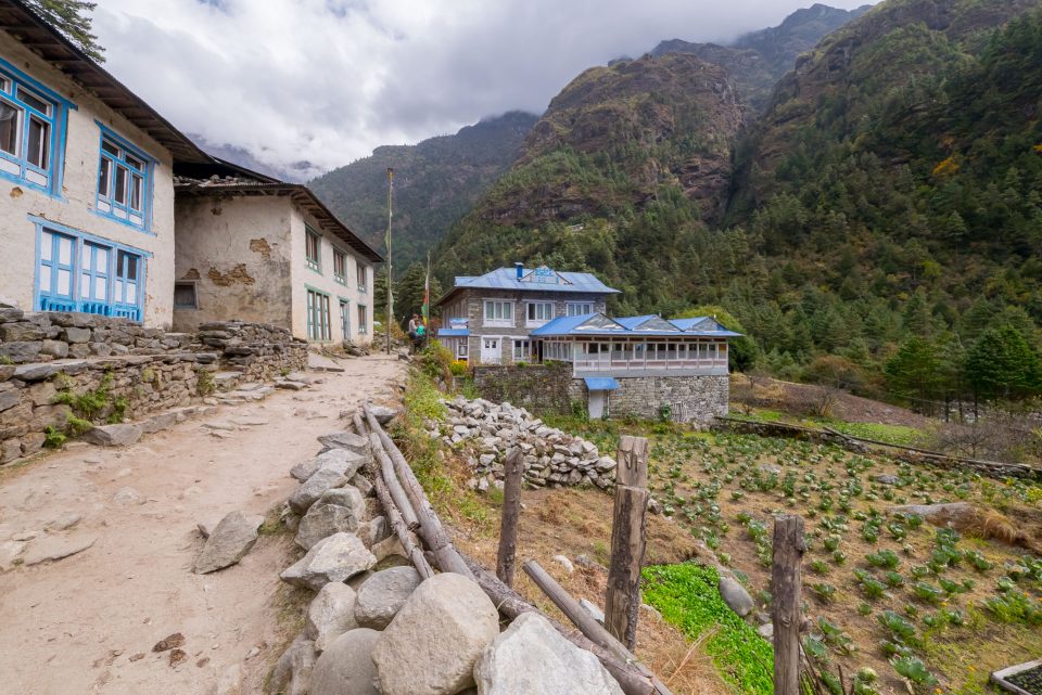 Tashi guesthouse в поселке Benkar
