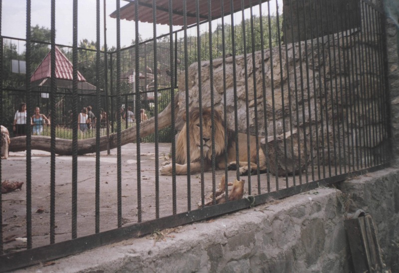 Ялта
