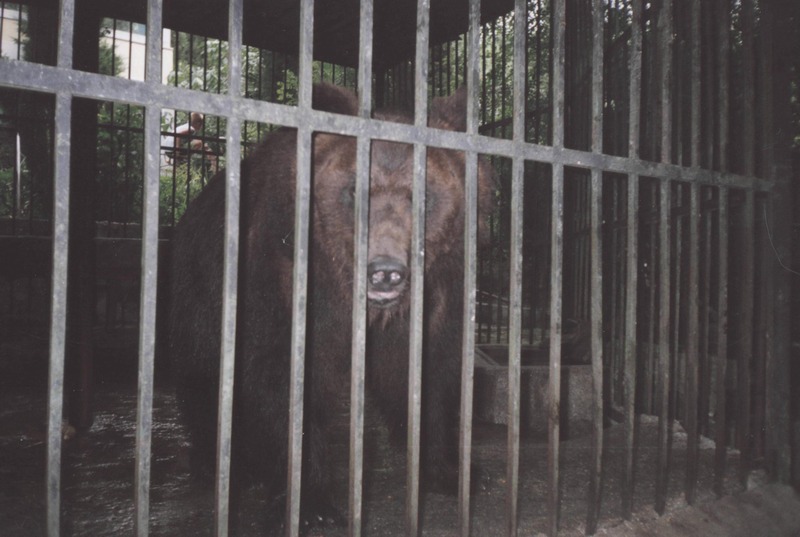 Ялта