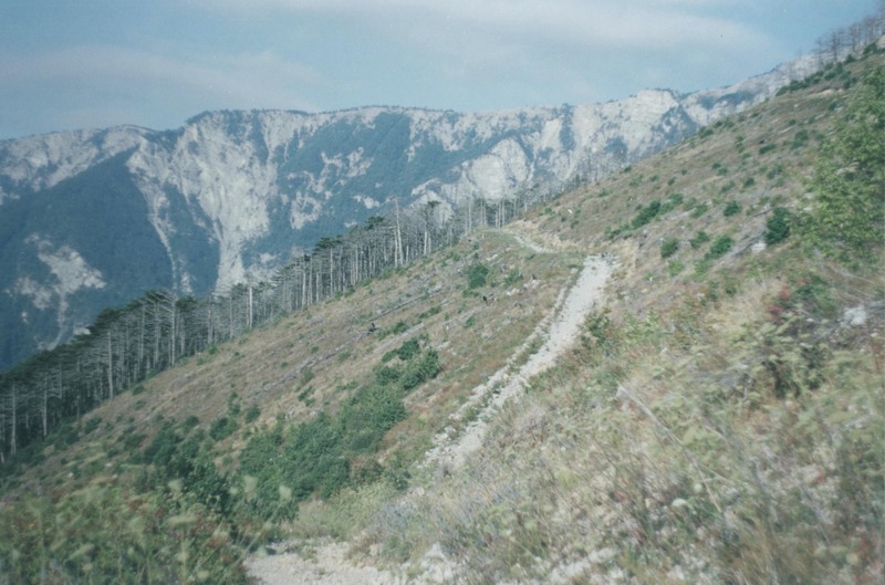Ялта