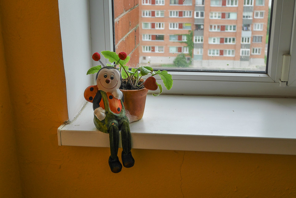 Кохтла-Ярве 2014