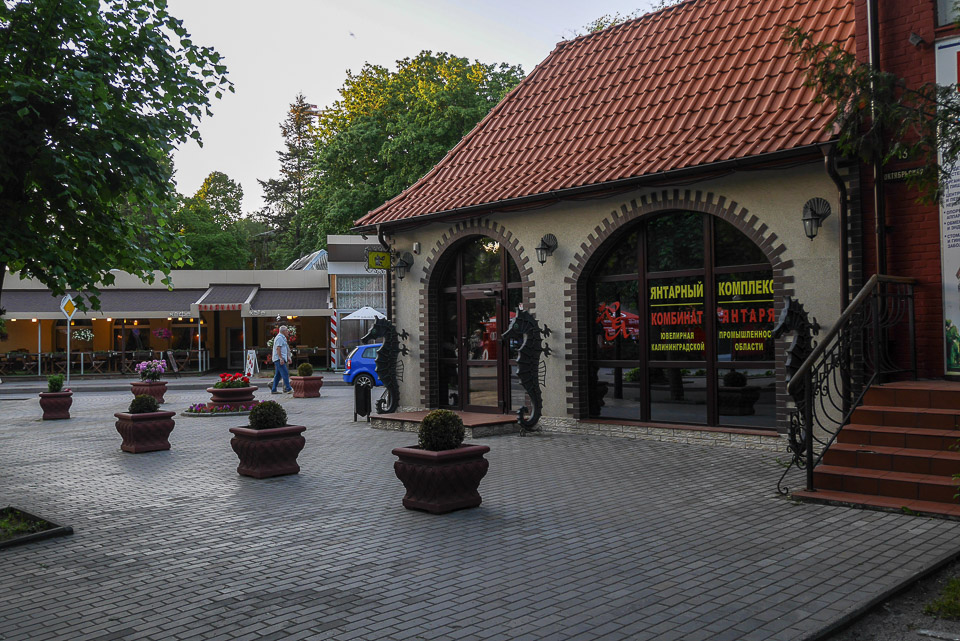 Светлогорск 2014