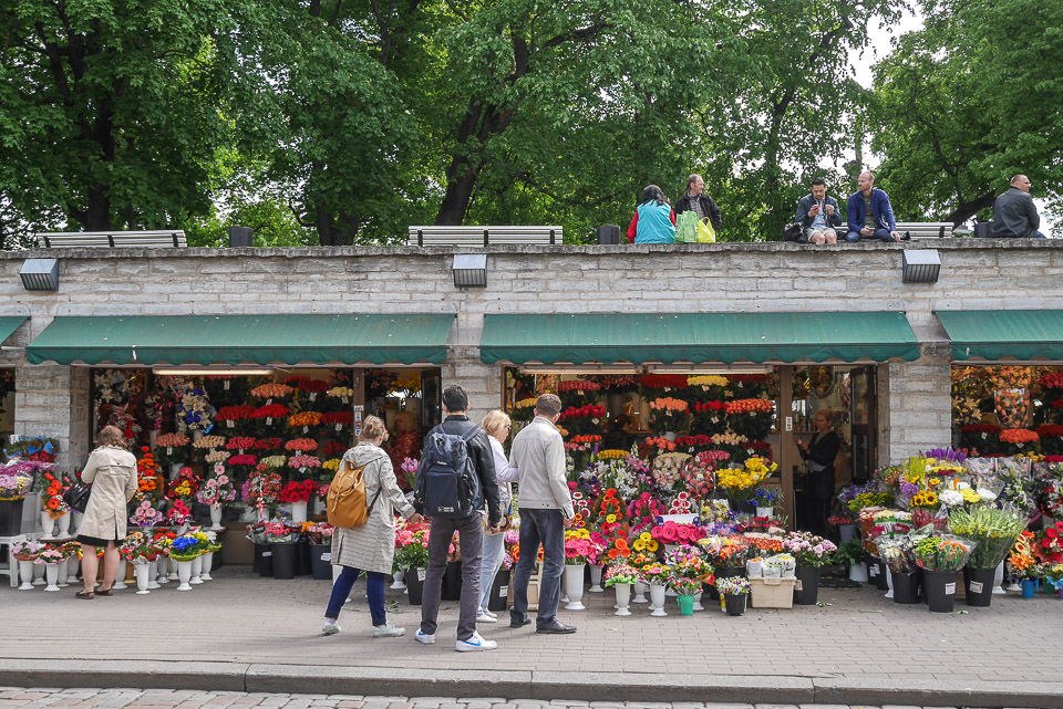Таллин 2014