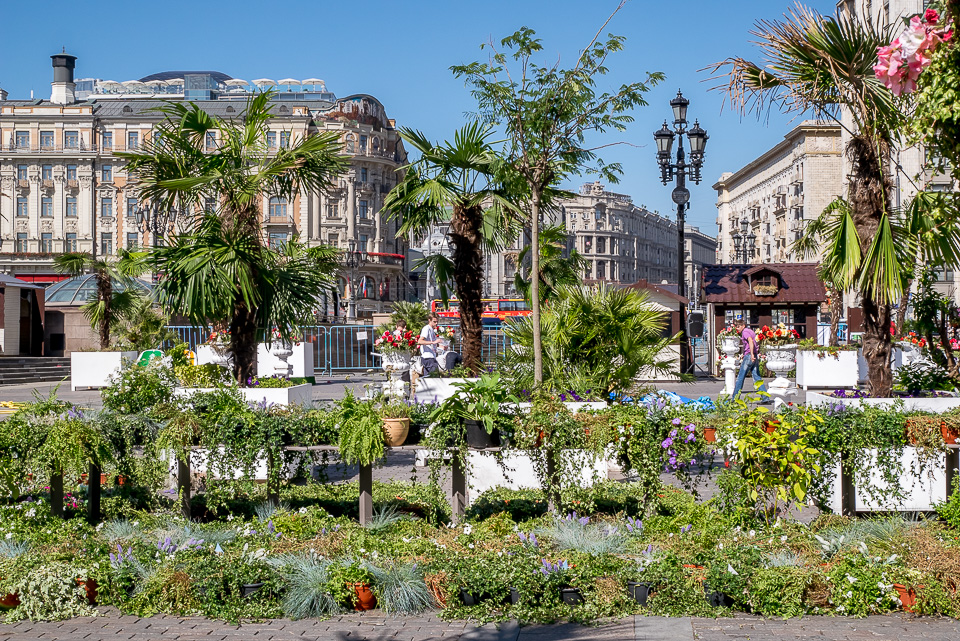 Москва 2015