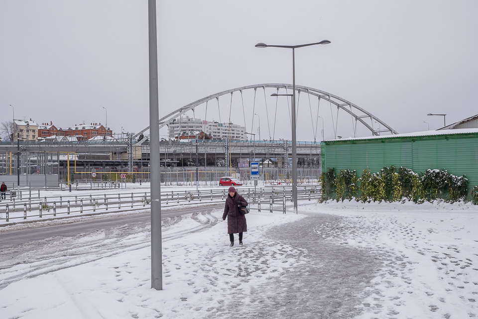 Адлер 2016
