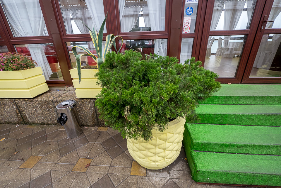 Адлер 2016