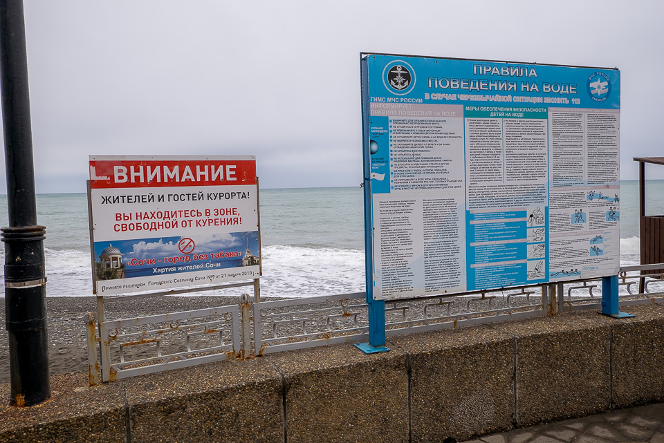 Адлер 2016