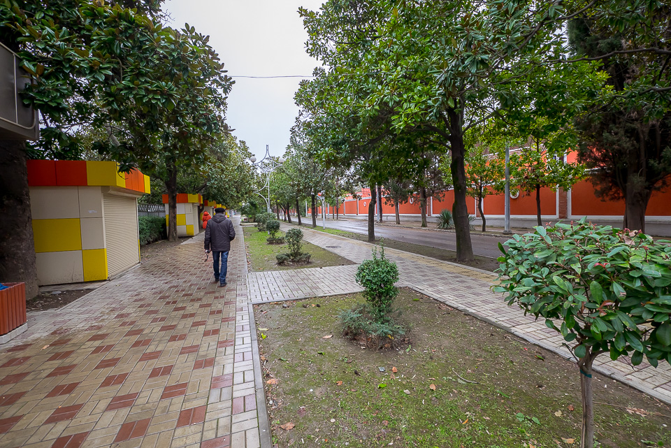 Адлер 2016