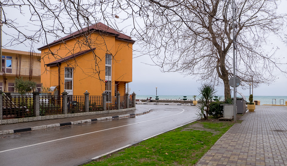 Адлер 2016