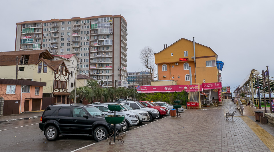 Адлер 2016