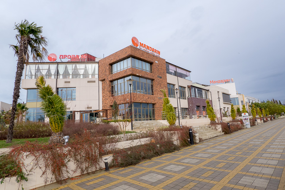 Адлер 2016